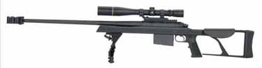 Armalite AR-30 30M300