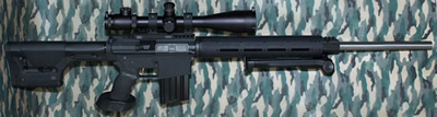 DPMS LR-308