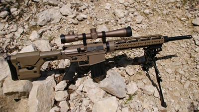 DPMS REPR